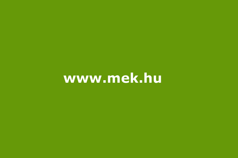 MÉK Tűzvédelmi Tagozat tisztújítás - 2013. november 28.