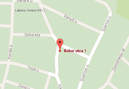 2094 Nagykovácsi, Bokor utca 1.