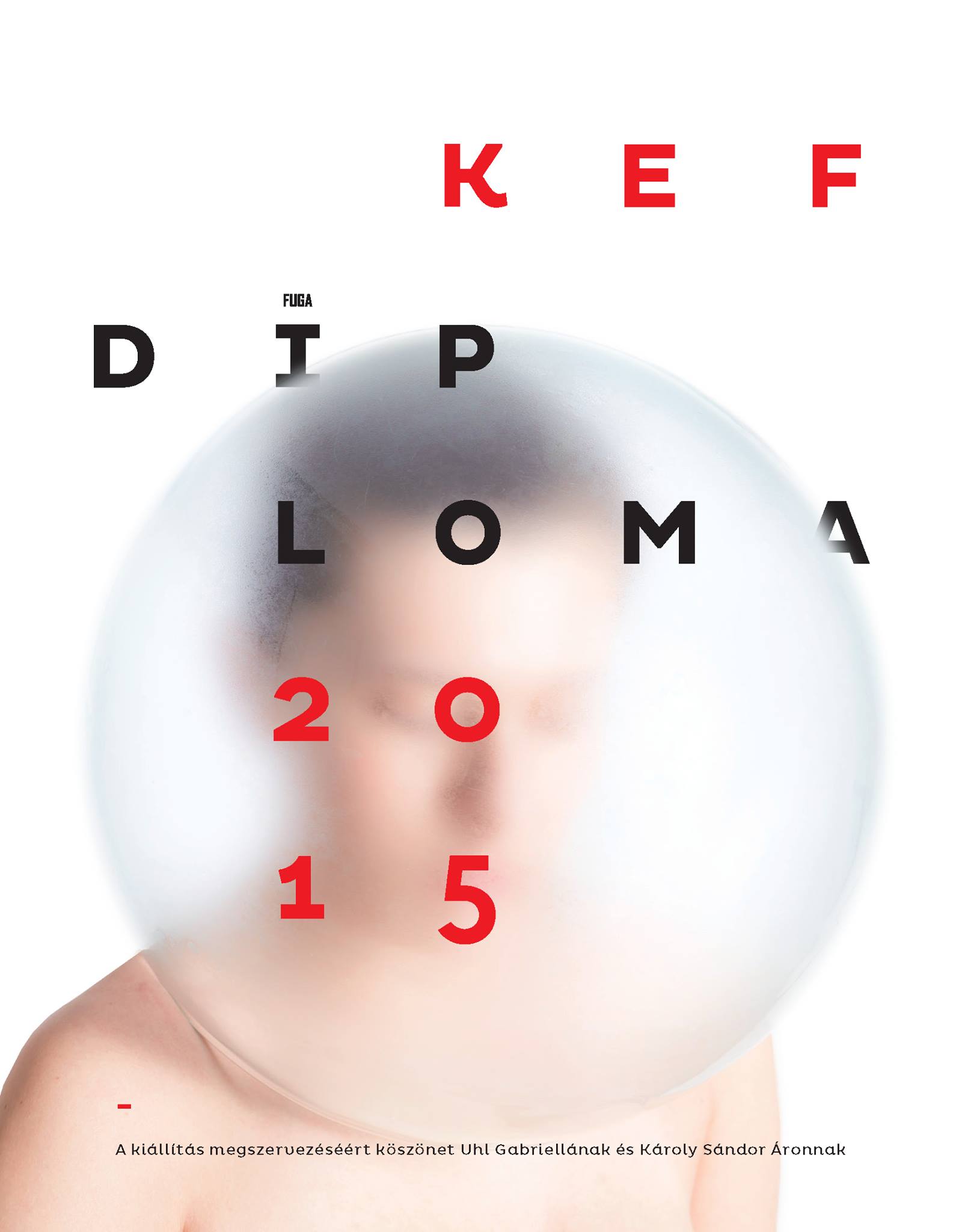 Diplomakiállítások 2015 -  Külső helyszín: Kaposvári Egyetem Művészeti Kar, Fotográfia Tanszék