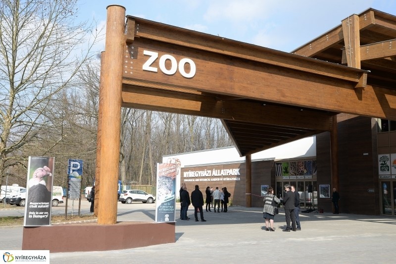 Tervpályázat a Nyíregyháza Állatpark Fejlesztése Keretében Jégkorszak Interaktív Állatbemutató tárgyában