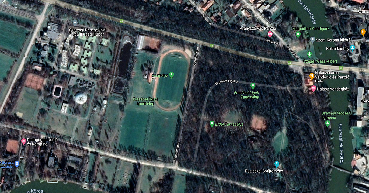 5540 Szarvas, Erzsébetliget, 5330/3