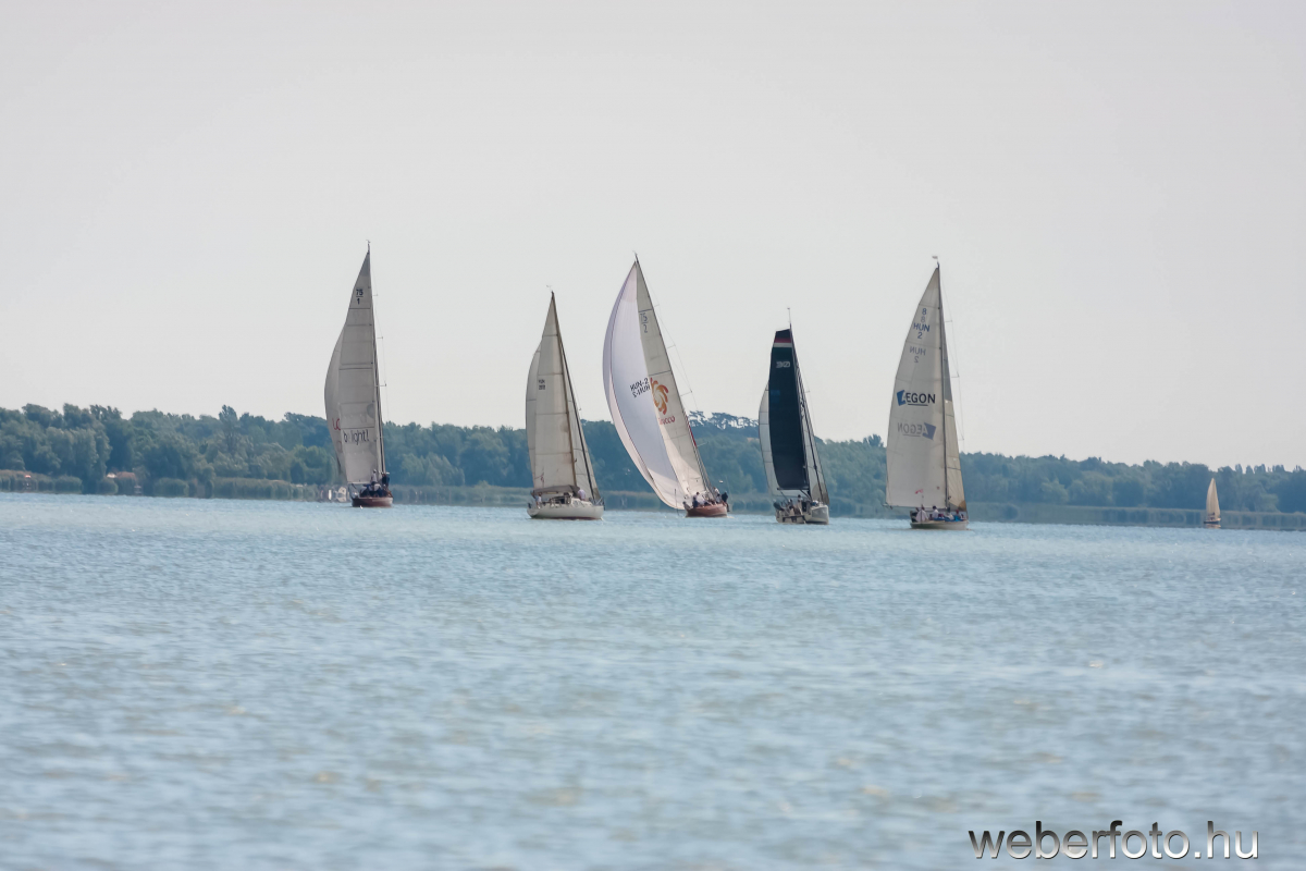 Tisztelt vitorlázó építész barátaim! - Építész Regatta