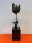 Sustainable Tulip Award