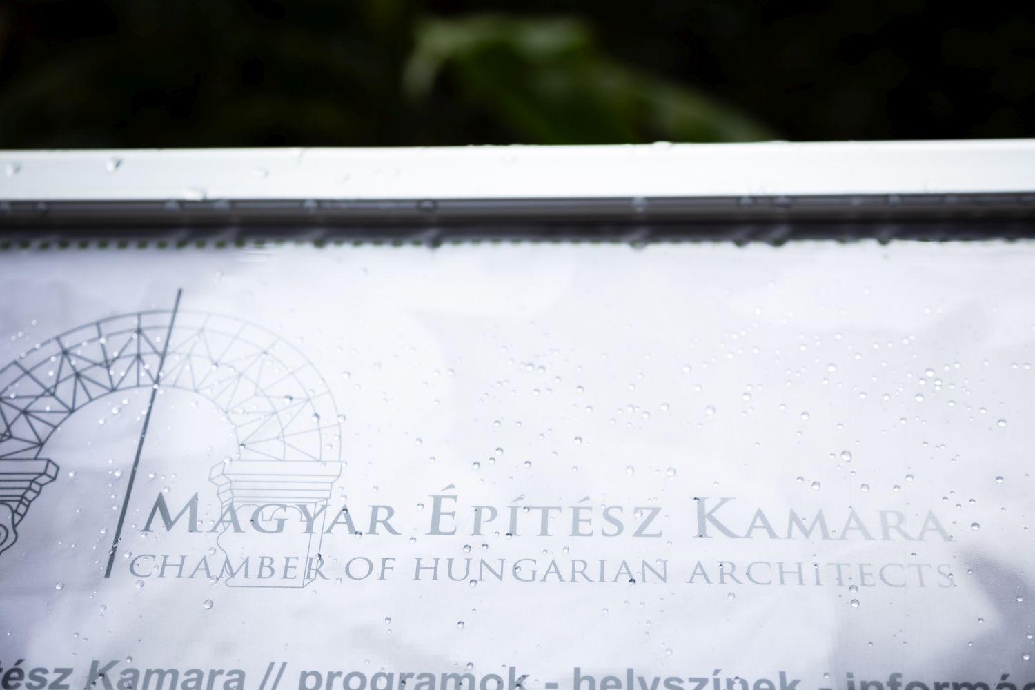 Belsőépítészeti Tagozat – 2023. évi Tisztségviselő választás - a Jelölő Bizottság javaslata
